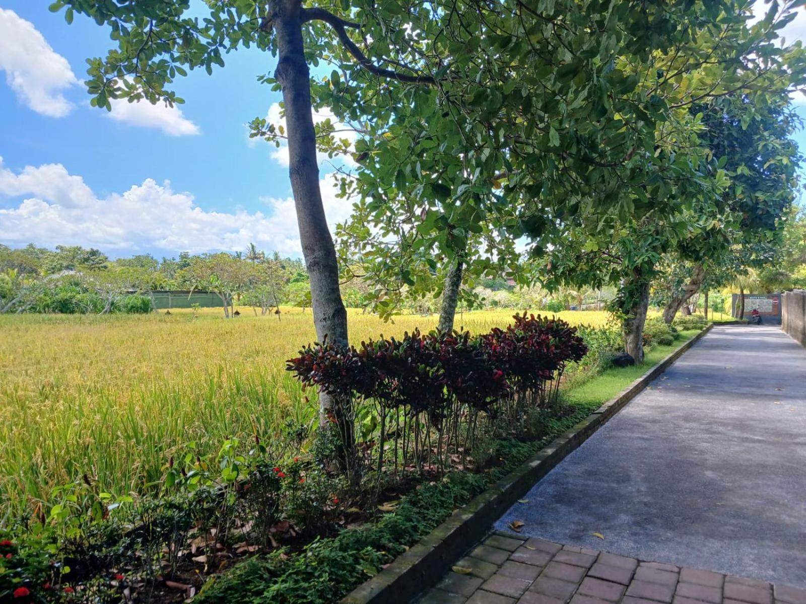 Kartika Dahayu Private Pool Villas Sukawati Exteriér fotografie