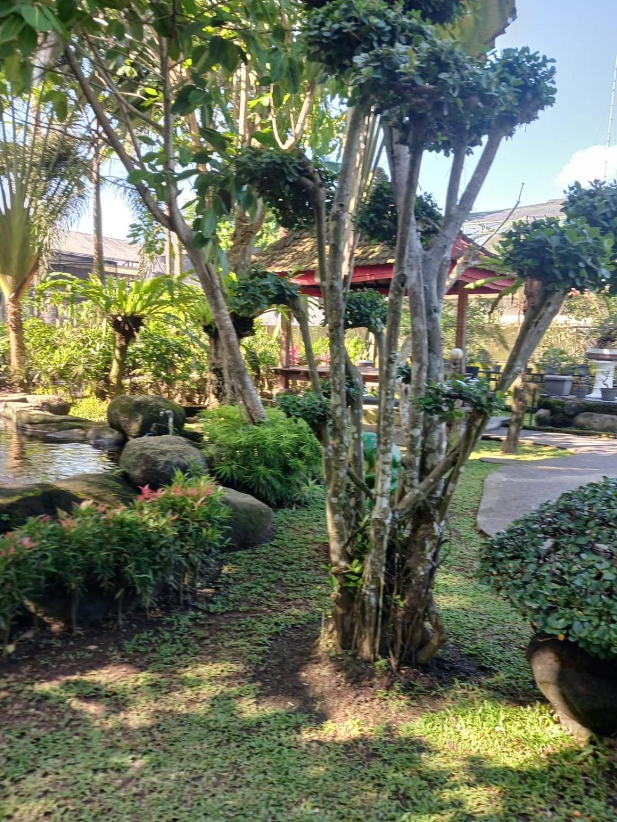 Kartika Dahayu Private Pool Villas Sukawati Exteriér fotografie